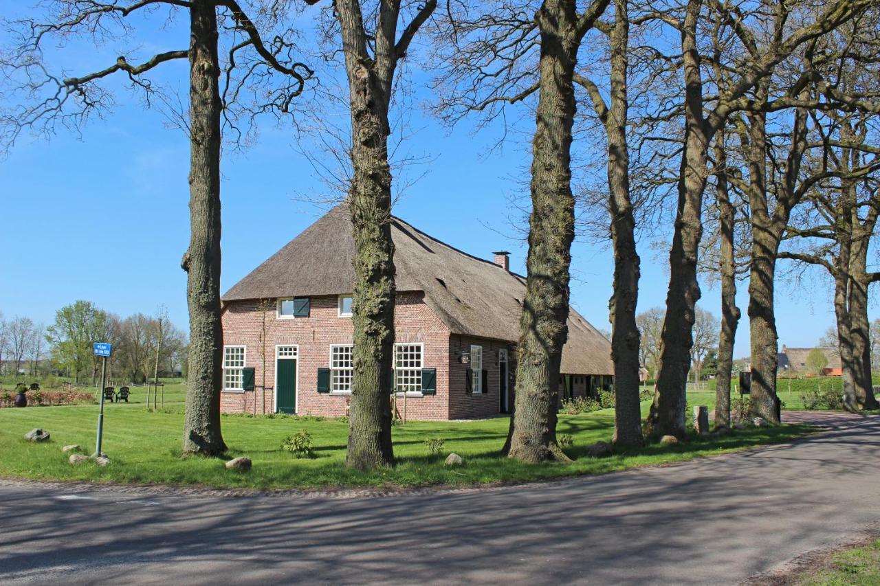 Deluxe Kamer met Queensize Bed